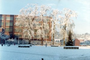 Catrine New Mill in Winter