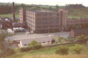 Catrine New Mill from Brae Taps